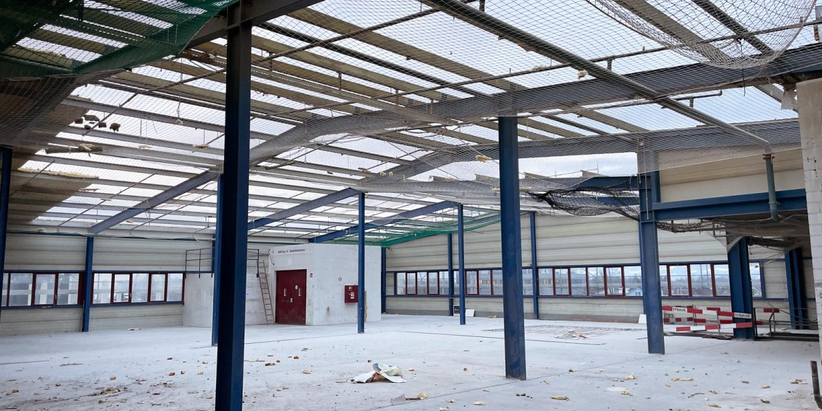 20230201_081441_IMG_9264