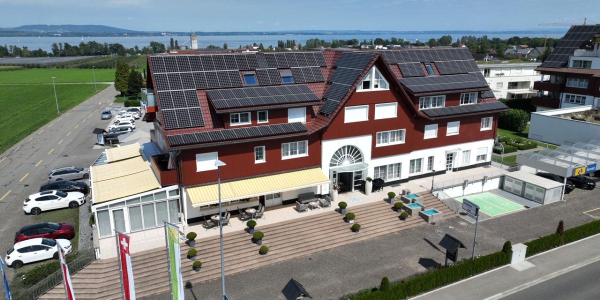 Seemöwe Güttingen
